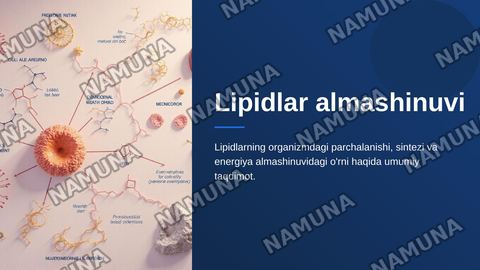Lipidlar almashinuvi — zamonaviy taqdimot