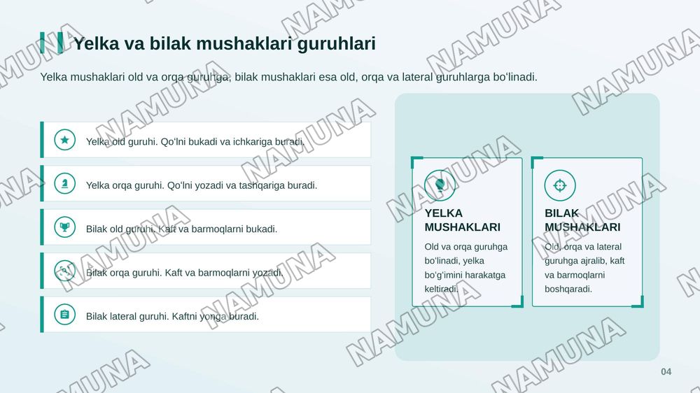 Yelka kamari va yelka mushaklari bilak mushaklari va fassiyalari qoʻp kaft mushaklari qoʻl kaftining pay qinlari — zamonaviy taqdimot, 5-slayd