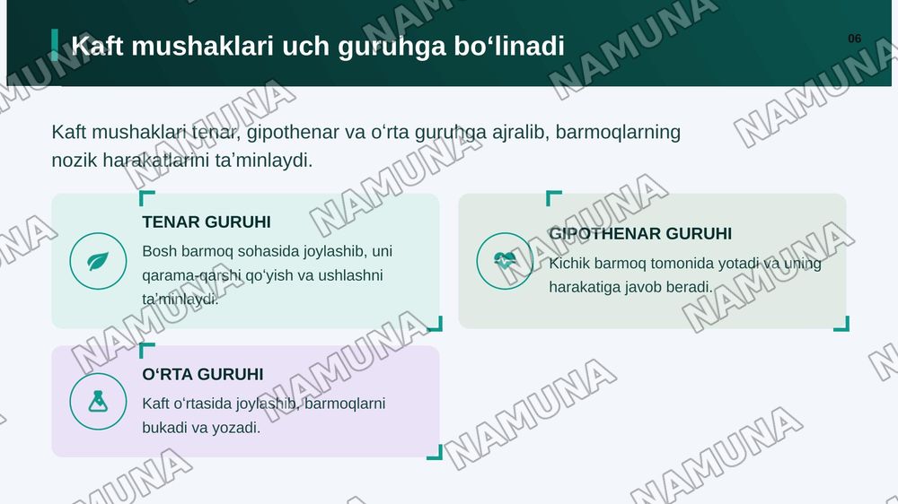 Yelka kamari va yelka mushaklari bilak mushaklari va fassiyalari qoʻp kaft mushaklari qoʻl kaftining pay qinlari — zamonaviy taqdimot, 7-slayd