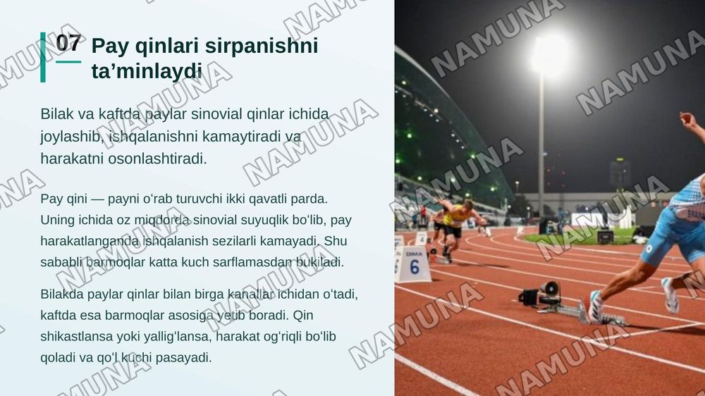 Yelka kamari va yelka mushaklari bilak mushaklari va fassiyalari qoʻp kaft mushaklari qoʻl kaftining pay qinlari — zamonaviy taqdimot, 8-slayd