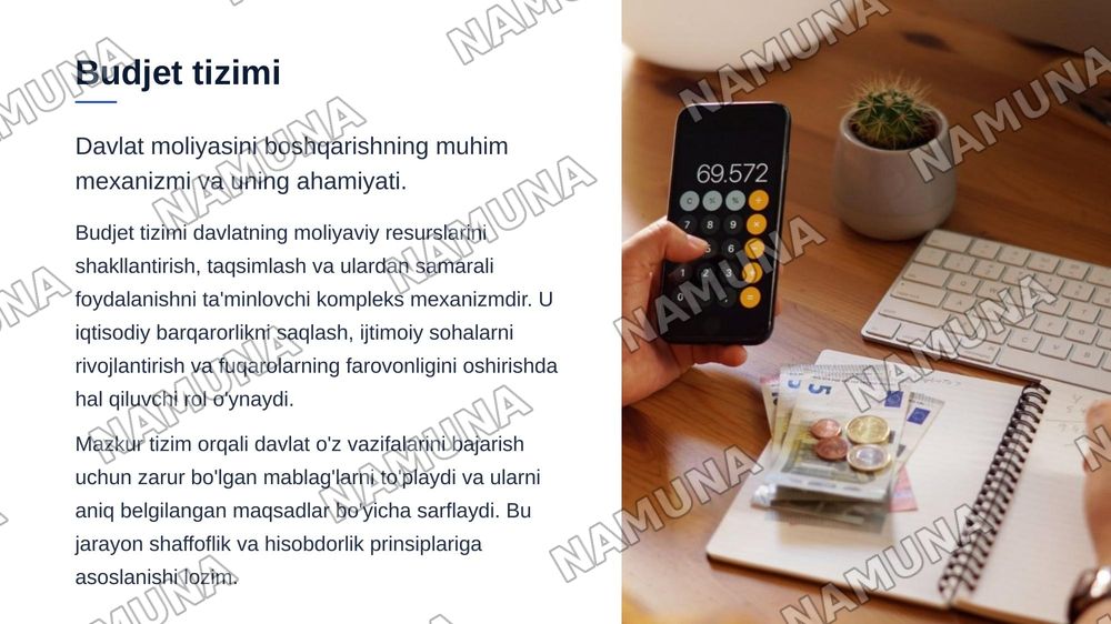 Budjet tizimining prinsiplari — zamonaviy taqdimot, 3-slayd