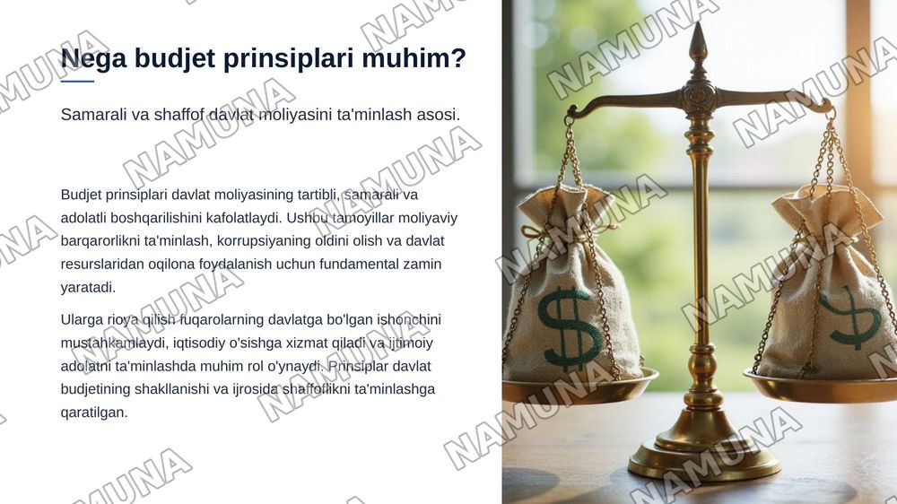 Budjet tizimining prinsiplari — zamonaviy taqdimot, 4-slayd