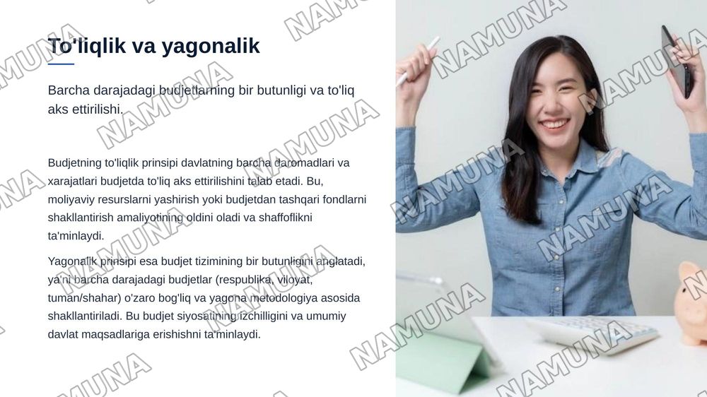 Budjet tizimining prinsiplari — zamonaviy taqdimot, 6-slayd