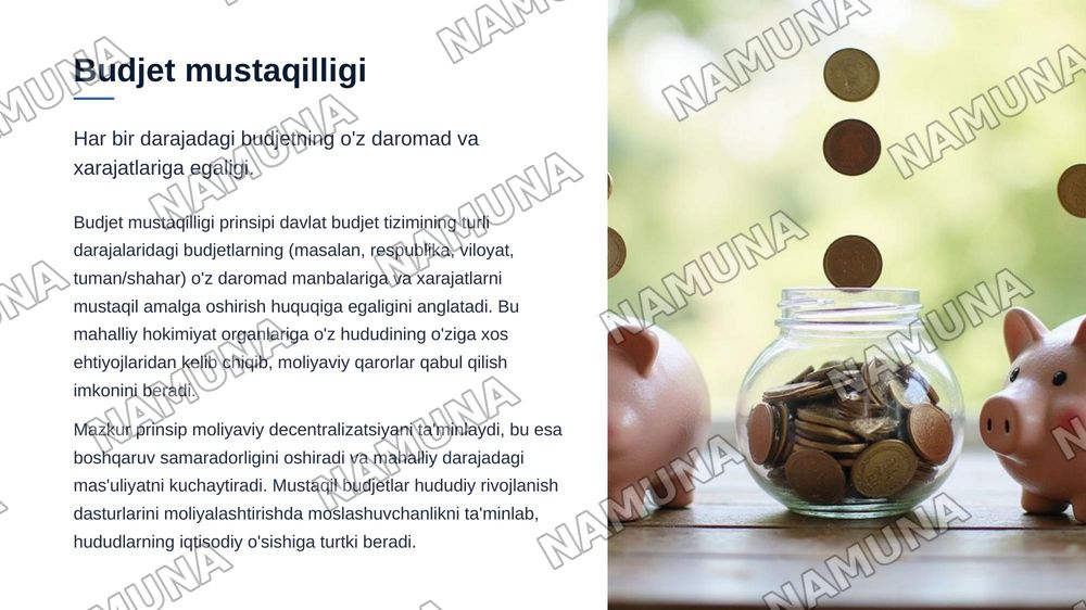 Budjet tizimining prinsiplari — zamonaviy taqdimot, 8-slayd