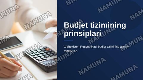 Budjet tizimining prinsiplari — zamonaviy taqdimot