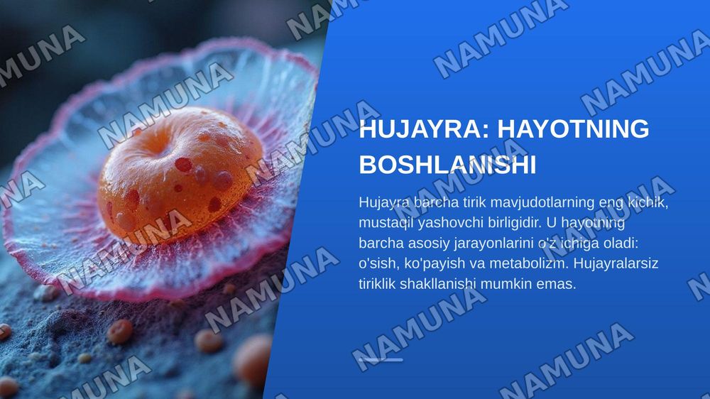 Hujayralar — zamonaviy taqdimot, 3-slayd