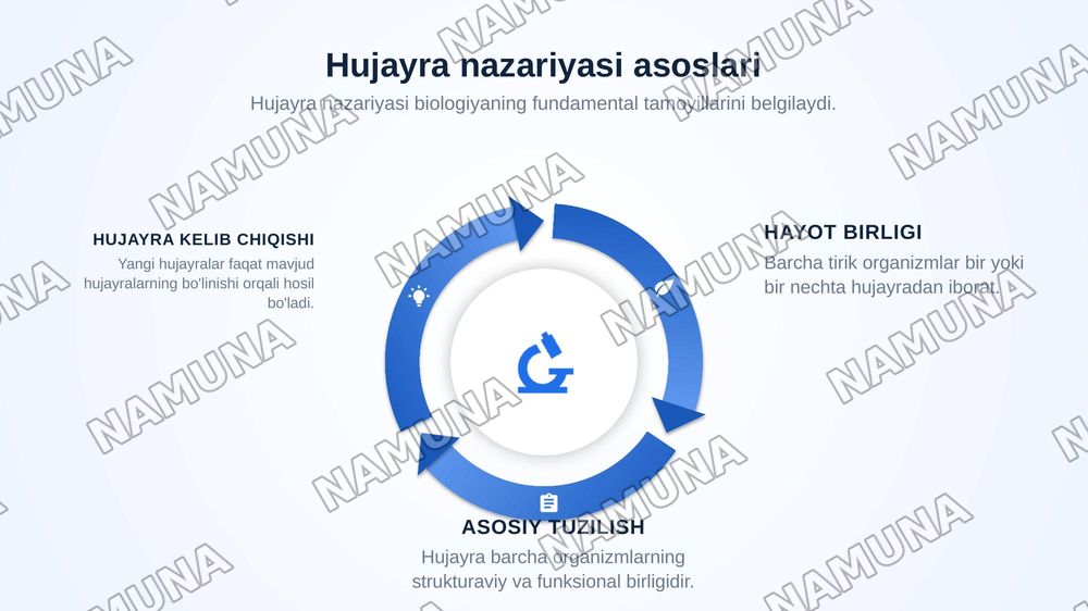 Hujayralar — zamonaviy taqdimot, 4-slayd