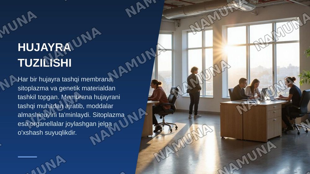 Hujayralar — zamonaviy taqdimot, 6-slayd