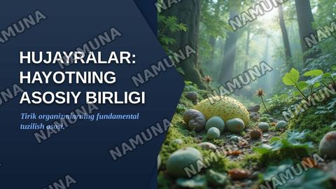 Hujayralar — zamonaviy taqdimot