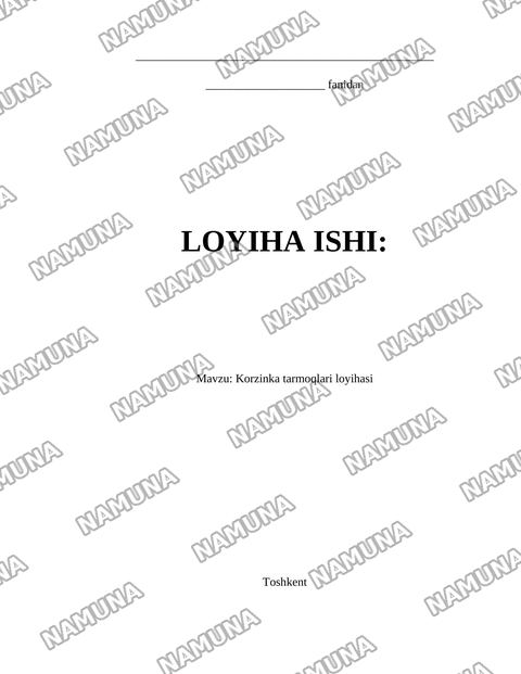 Korzinka tarmoqlari loyihasi — loyiha ishi