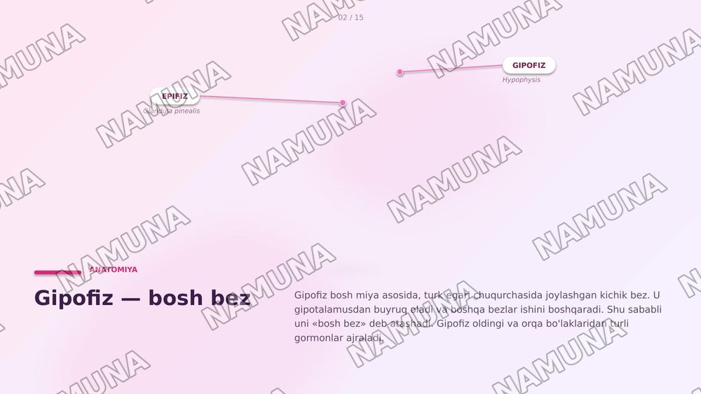 Garmonlar endokrin tizimi. Endokrin tizimining fizialogiyasi. Endokrin tizim kasalliklari — zamonaviy taqdimot, 2-slayd