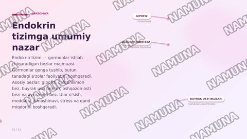 Garmonlar endokrin tizimi. Endokrin tizimining fizialogiyasi. Endokrin tizim kasalliklari — zamonaviy taqdimot