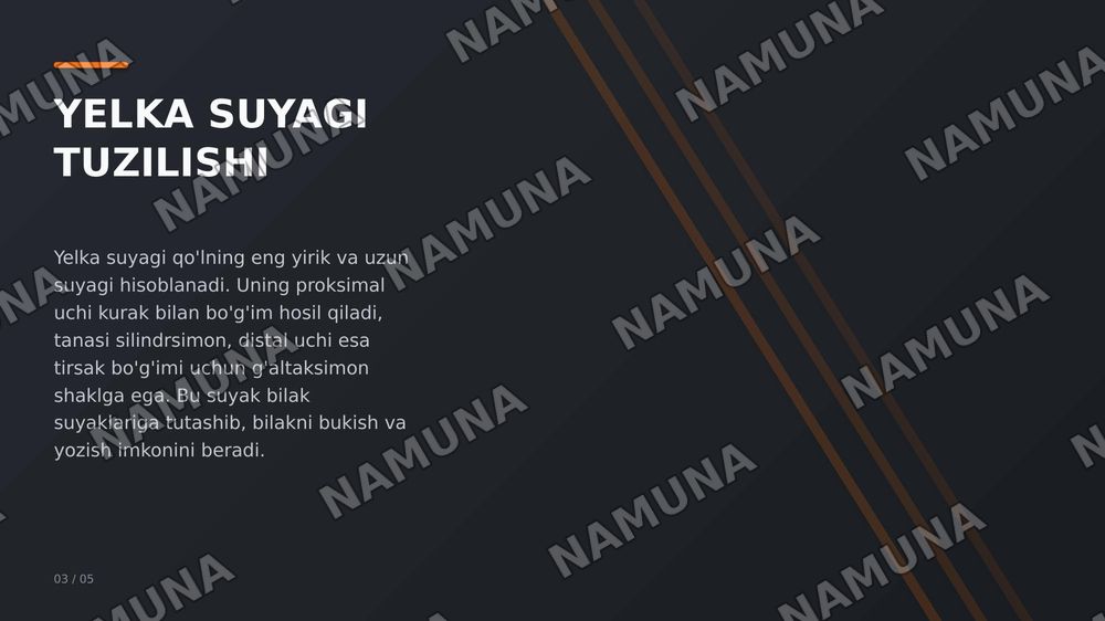 Qol suyaklari — zamonaviy taqdimot, 4-slayd