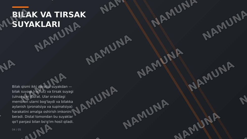 Qol suyaklari — zamonaviy taqdimot, 6-slayd