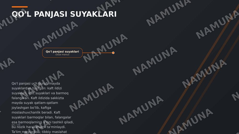 Qol suyaklari — zamonaviy taqdimot, 8-slayd