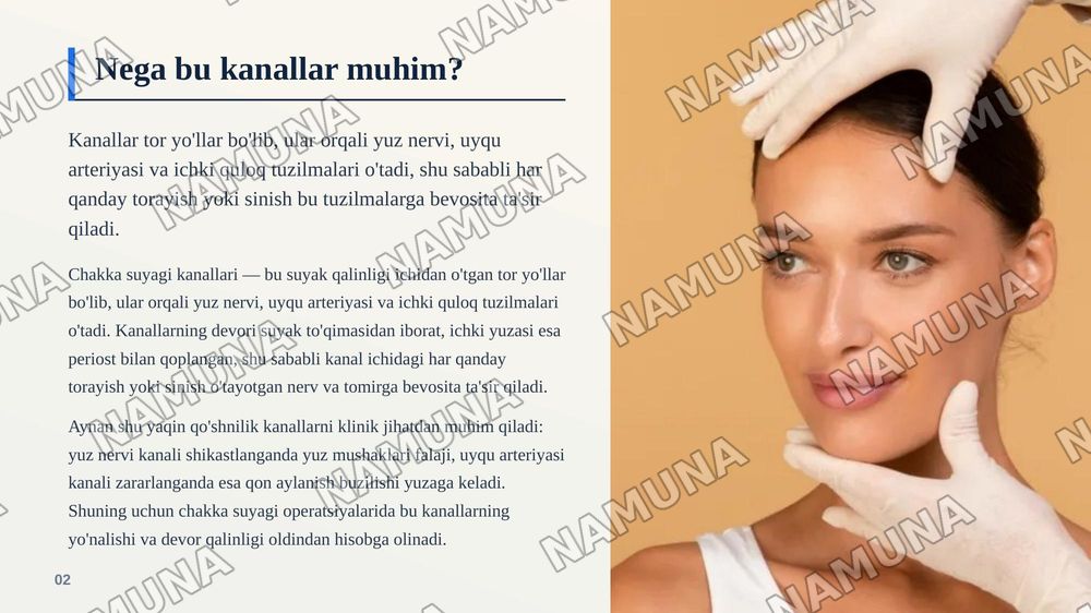 Chakka suyaklarining kannalari — zamonaviy taqdimot, 3-slayd