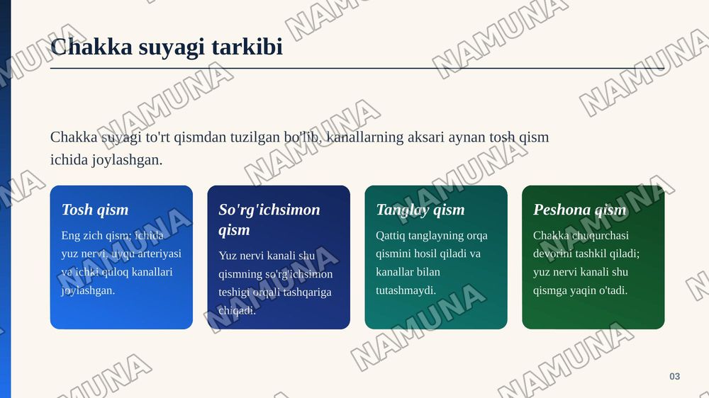Chakka suyaklarining kannalari — zamonaviy taqdimot, 4-slayd