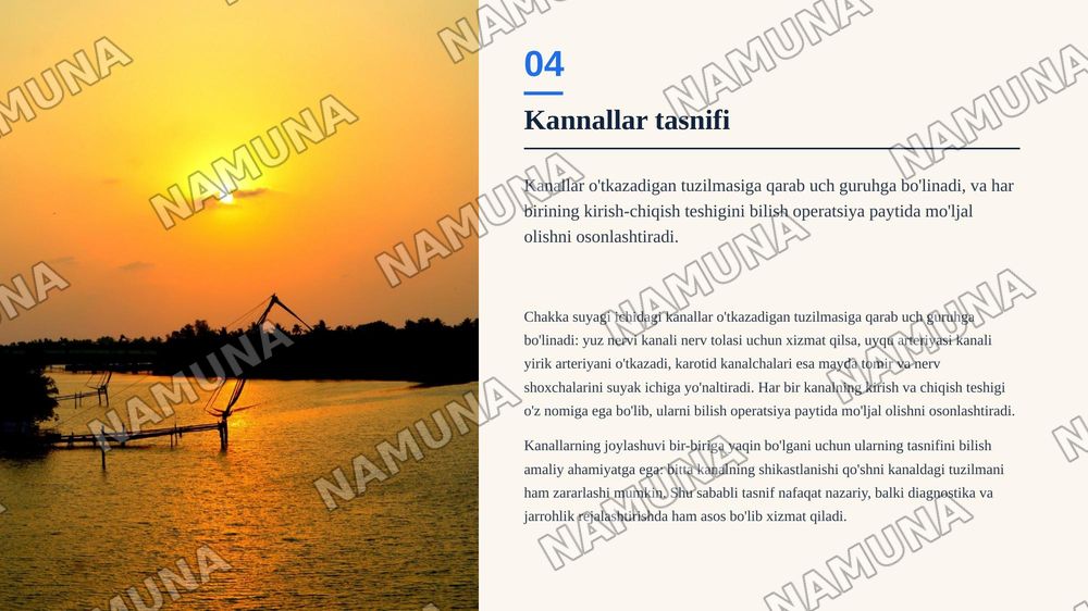 Chakka suyaklarining kannalari — zamonaviy taqdimot, 5-slayd