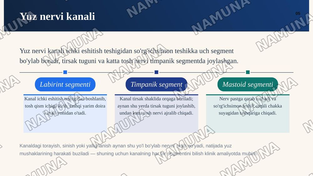 Chakka suyaklarining kannalari — zamonaviy taqdimot, 6-slayd