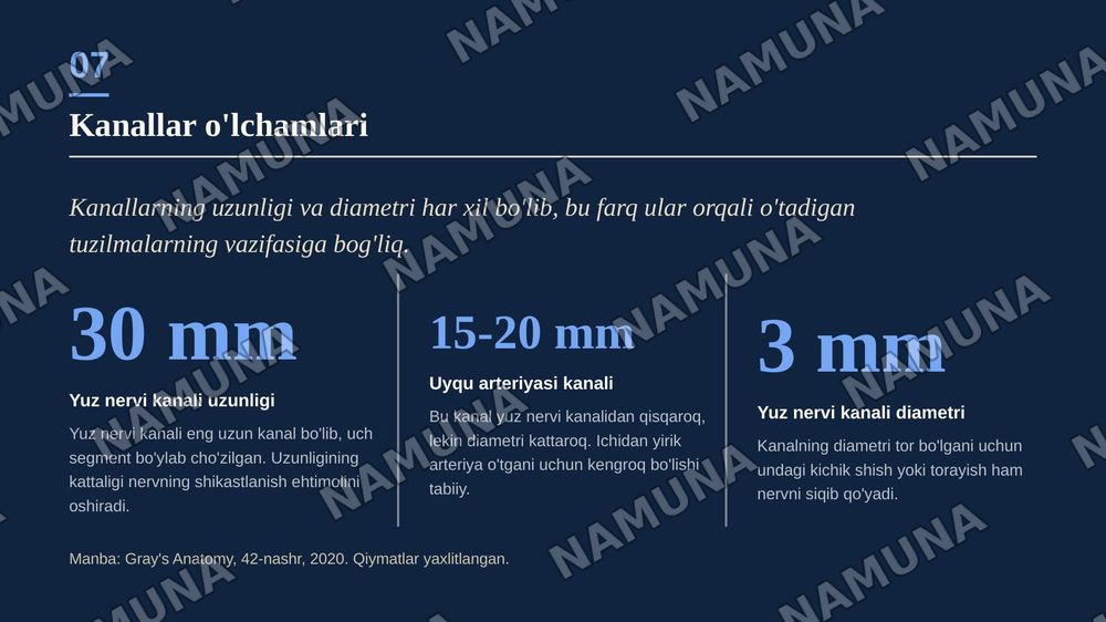 Chakka suyaklarining kannalari — zamonaviy taqdimot, 8-slayd