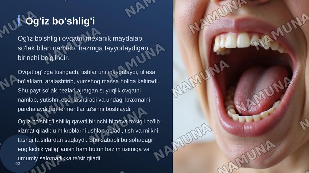 Og’iz bo’shlig’i
Lab, milk, tanglay, til va so’lak — zamonaviy taqdimot, 3-slayd