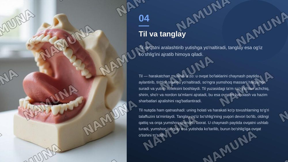 Og’iz bo’shlig’i
Lab, milk, tanglay, til va so’lak — zamonaviy taqdimot, 5-slayd
