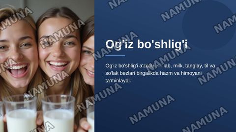 Og’iz bo’shlig’i
Lab, milk, tanglay, til va so’lak — zamonaviy taqdimot