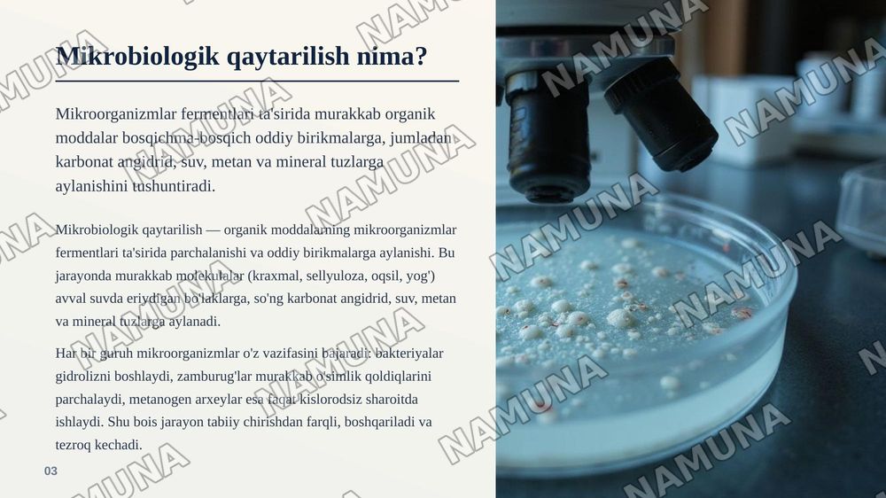 Organik transformatsiyalash moddalarni va ularni mikrobiologik
qaytarilishini biotexnologik uslublari — zamonaviy taqdimot, 4-slayd