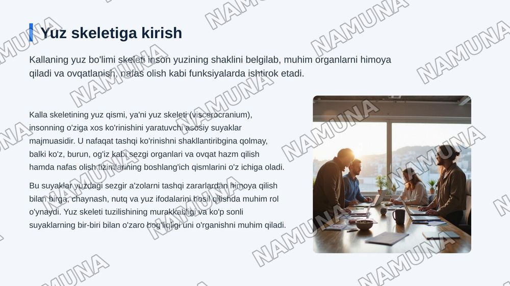 Kallaning yuz boʻlimi suyaklari — zamonaviy taqdimot, 3-slayd