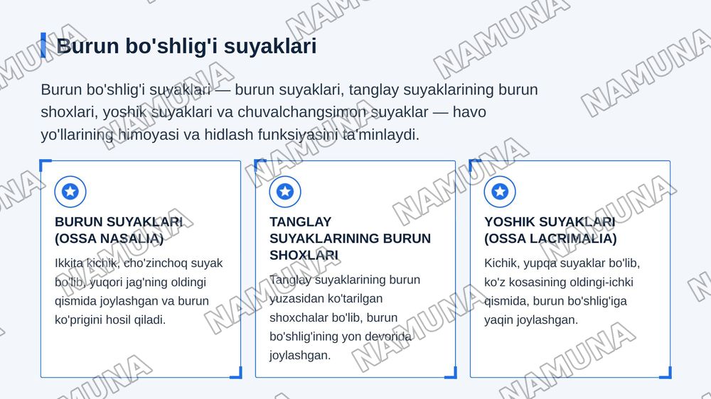 Kallaning yuz boʻlimi suyaklari — zamonaviy taqdimot, 5-slayd