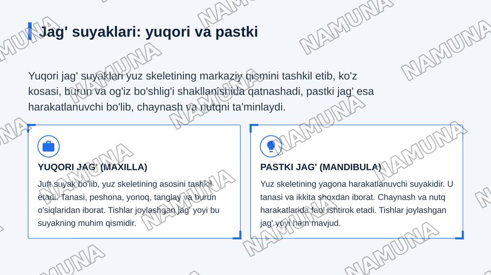 Kallaning yuz boʻlimi suyaklari — zamonaviy taqdimot, 8-slayd