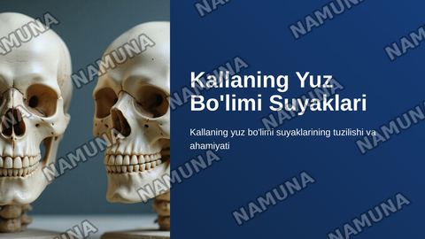 Kallaning yuz boʻlimi suyaklari — zamonaviy taqdimot