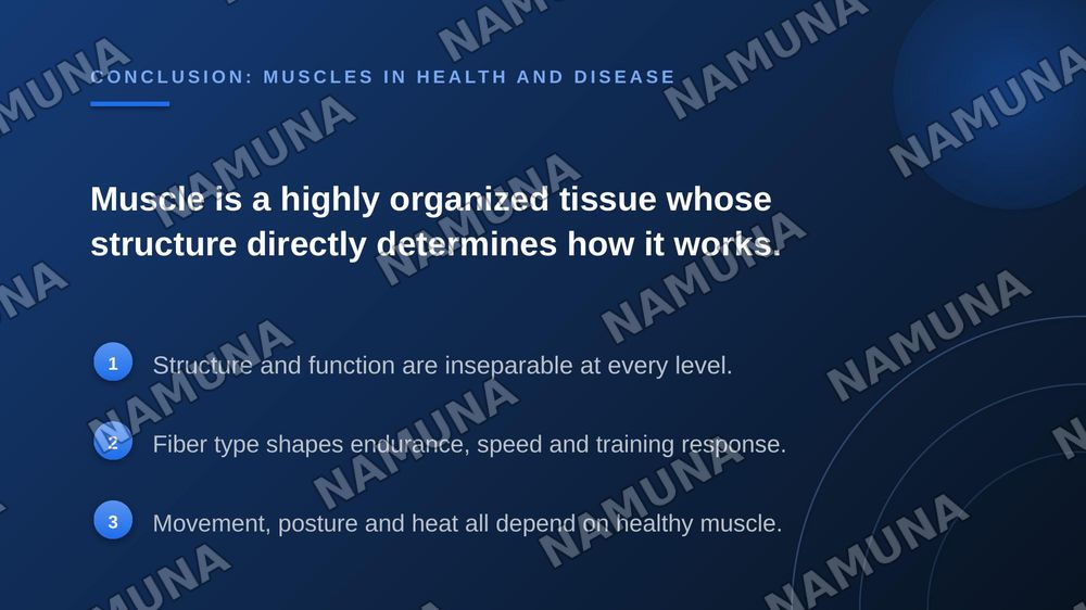 Anatomy of the muscles — zamonaviy taqdimot, 7-slayd