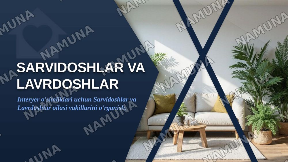Interyer oʻsimliklar uchun Sarvidoshlar oilasi vakillarini oʻrganish.Interyer uchun Lavrdoshlar oilasini oʻrganish. — zamonaviy taqdimot, 1-slayd