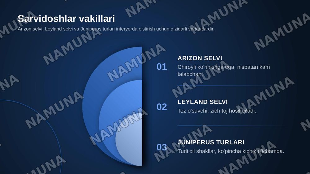 Interyer oʻsimliklar uchun Sarvidoshlar oilasi vakillarini oʻrganish.Interyer uchun Lavrdoshlar oilasini oʻrganish. — zamonaviy taqdimot, 5-slayd