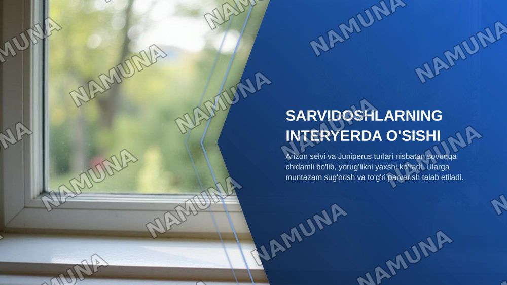 Interyer oʻsimliklar uchun Sarvidoshlar oilasi vakillarini oʻrganish.Interyer uchun Lavrdoshlar oilasini oʻrganish. — zamonaviy taqdimot, 6-slayd