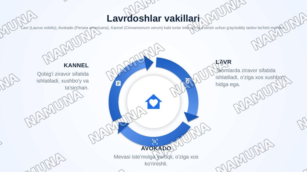Interyer oʻsimliklar uchun Sarvidoshlar oilasi vakillarini oʻrganish.Interyer uchun Lavrdoshlar oilasini oʻrganish. — zamonaviy taqdimot, 8-slayd