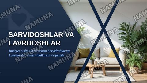 Interyer oʻsimliklar uchun Sarvidoshlar oilasi vakillarini oʻrganish.Interyer uchun Lavrdoshlar oilasini oʻrganish. — zamonaviy taqdimot