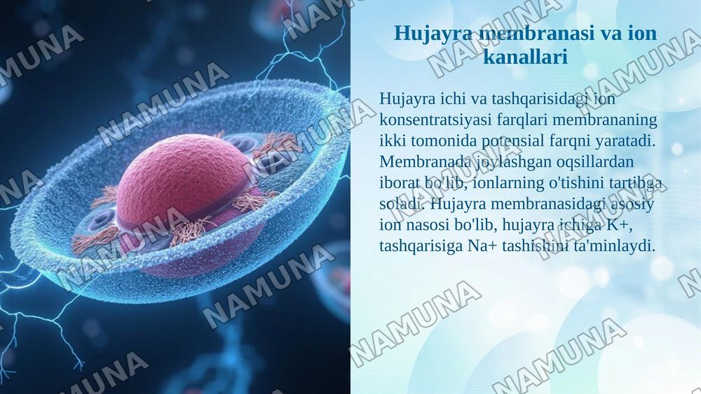 Bioelektrik hodisalar va ularning tibbiyotdagi qo'llanilishi. — taqdimot, 5-slayd