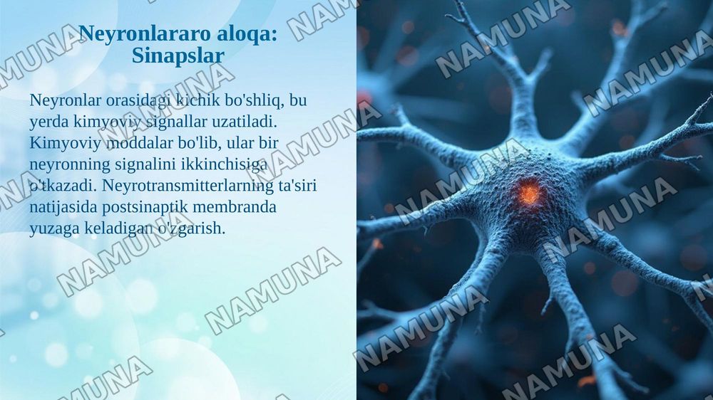 Bioelektrik hodisalar va ularning tibbiyotdagi qo'llanilishi. — taqdimot, 7-slayd