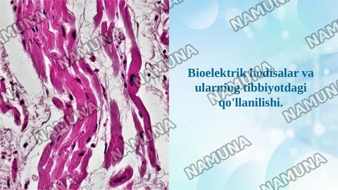 Bioelektrik hodisalar va ularning tibbiyotdagi qo'llanilishi. — taqdimot