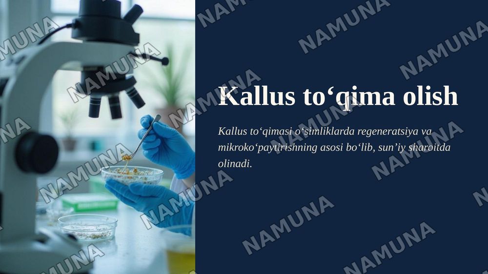 Kallus to‘qima olish — zamonaviy taqdimot, 1-slayd