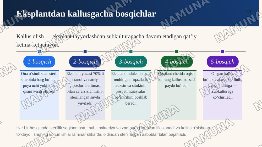 Kallus to‘qima olish — zamonaviy taqdimot, 4-slayd