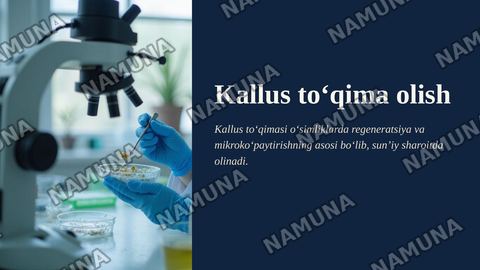 Kallus to‘qima olish — zamonaviy taqdimot