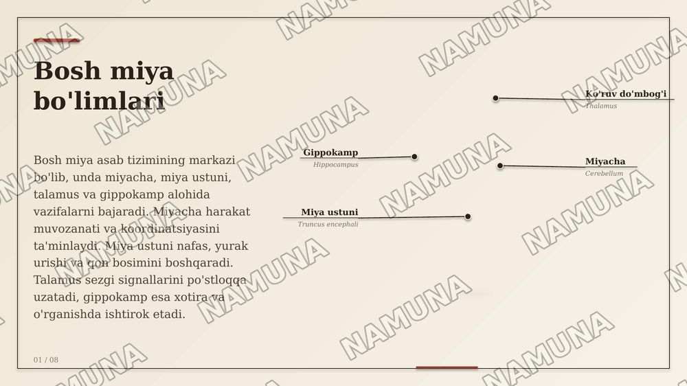 Asab sistemasi sezgi a'zolari ichki sekretsiya bezlari teri suyak muskul sistemalarining anotomik fiziologik xususiyatlari — zamonaviy taqdimot, 1-slayd