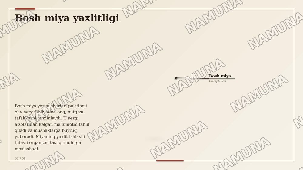 Asab sistemasi sezgi a'zolari ichki sekretsiya bezlari teri suyak muskul sistemalarining anotomik fiziologik xususiyatlari — zamonaviy taqdimot, 2-slayd