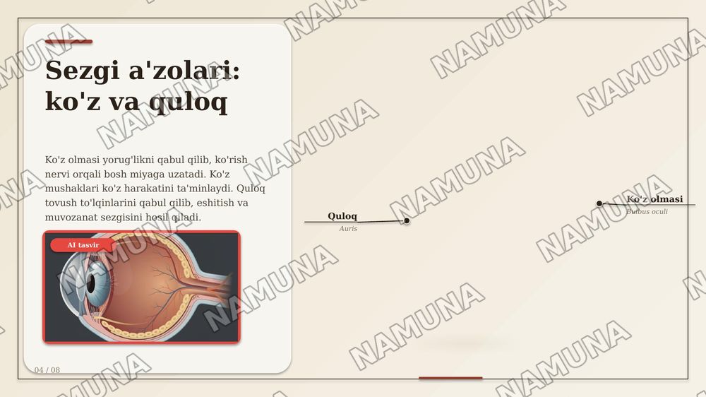 Asab sistemasi sezgi a'zolari ichki sekretsiya bezlari teri suyak muskul sistemalarining anotomik fiziologik xususiyatlari — zamonaviy taqdimot, 4-slayd