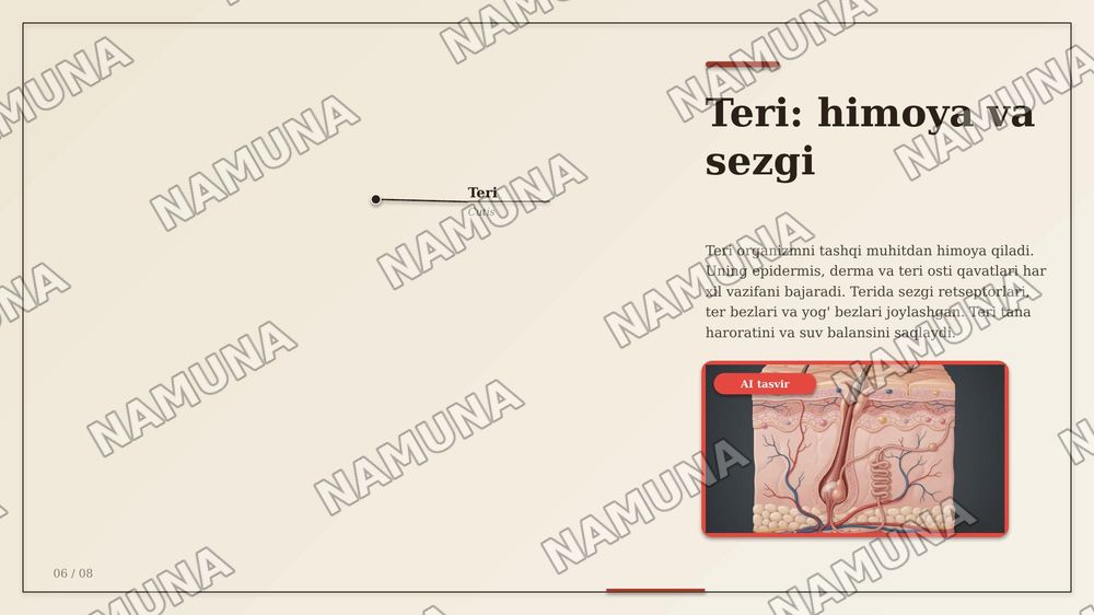 Asab sistemasi sezgi a'zolari ichki sekretsiya bezlari teri suyak muskul sistemalarining anotomik fiziologik xususiyatlari — zamonaviy taqdimot, 6-slayd