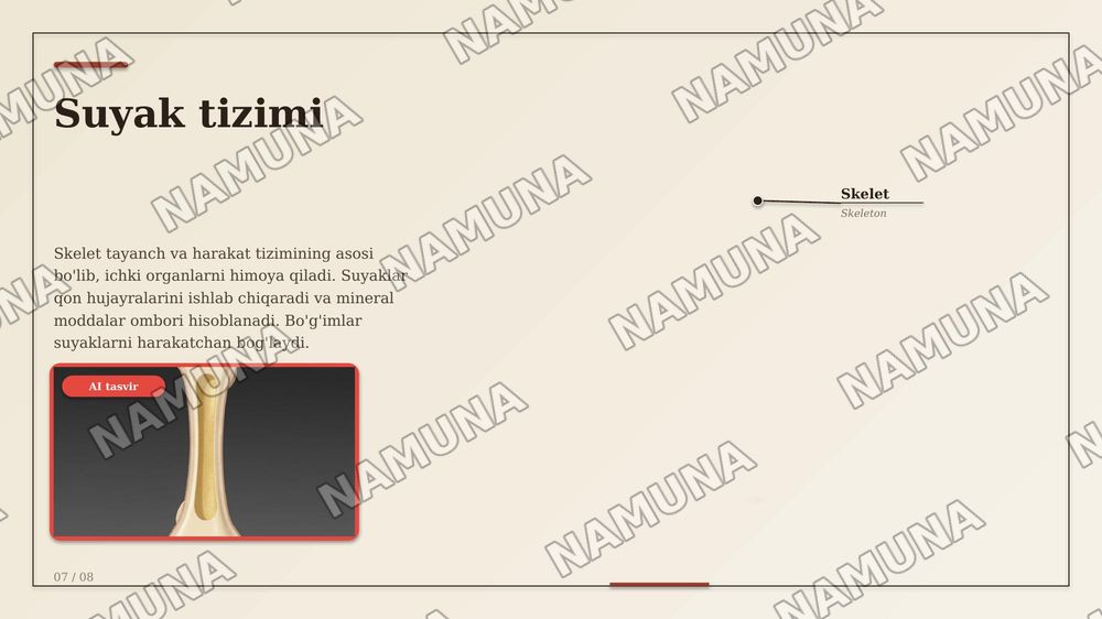 Asab sistemasi sezgi a'zolari ichki sekretsiya bezlari teri suyak muskul sistemalarining anotomik fiziologik xususiyatlari — zamonaviy taqdimot, 7-slayd