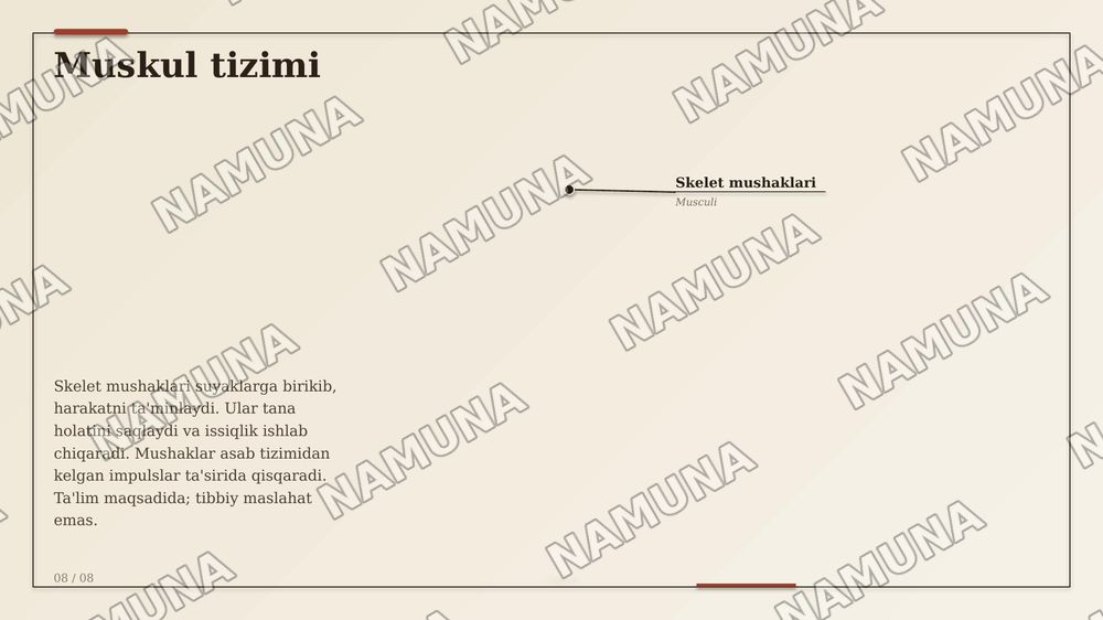 Asab sistemasi sezgi a'zolari ichki sekretsiya bezlari teri suyak muskul sistemalarining anotomik fiziologik xususiyatlari — zamonaviy taqdimot, 8-slayd